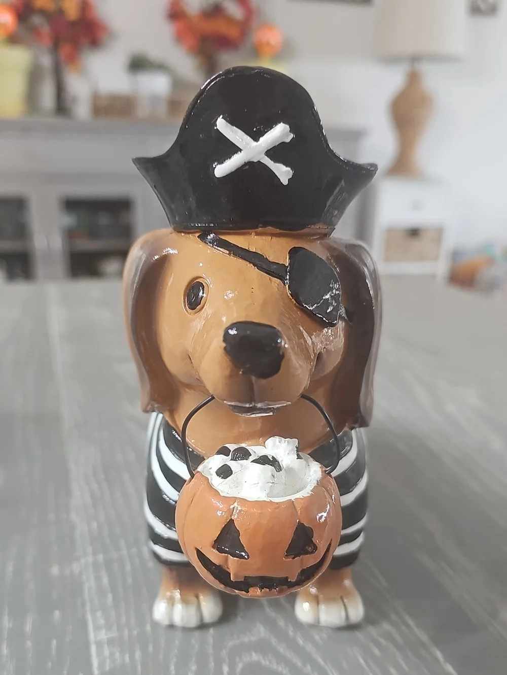 New! Halloween Pirate Costume Dachshund Dog with Trick Or Treat Pumpkin